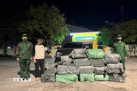Phương tiện và tang vật do cảnh sát đặc nhiệm Phòng chống ma túy và tội phạm miền Bắc, Hải quan Cửa khẩu Quốc tế Móng Cái và Đội Kiểm soát Hải quan Quảng Ninh phát hiện, bắt giữ. (Ảnh: TTXVN phát)