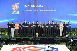 Các đại biểu tại Hội nghị Bộ trưởng Năng lượng ASEAN+3. (Ảnh: TTXVN phát)