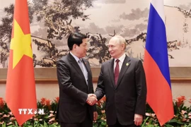 Chủ tịch nước Lương Cường hội kiến Tổng thống Nga Vladimir Putin. (Ảnh: Lâm Khánh/TTXVN)