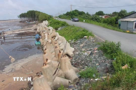 Một đoạn sạt lở đê biển được gia cố lại bằng kè chắn sóng. (Ảnh: Chanh Đa/TTXVN)