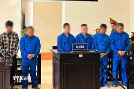 Các bị cáo tại phiên tòa xét xử. (Ảnh: TTXVN phát)