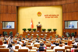 Quang cảnh phiên họp. Ảnh: Doãn Tấn/TTXVN)