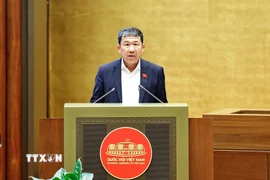 Ông Vũ Hải Hà. (Nguồn: TTXVN)