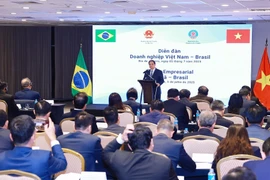 Thủ tướng Phạm Minh Chính phát biểu tại Diễn đàn doanh nghiệp Việt Nam-Brazil. (Ảnh: Dương Giang/TTXVN)