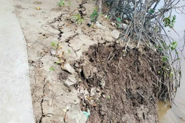 Vị trí sạt lở ăn sâu vào phía bờ kênh. (Ảnh: TTXVN phát)
