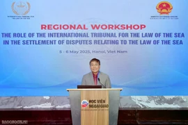 Thứ trưởng Thường trực Ngoại giao Nguyễn Minh Vũ phát biểu tại Hội thảo. (Nguồn: Thế giới và Việt Nam)