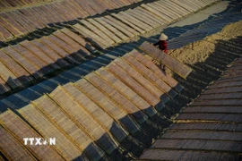 Lật giở bún, bánh trên giàn phơi. (Ảnh: Khánh Hòa/TTXVN)