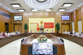 Ban Thường vụ Đảng ủy Quốc hội biểu quyết. (Ảnh: Doãn Tấn/TTXVN)