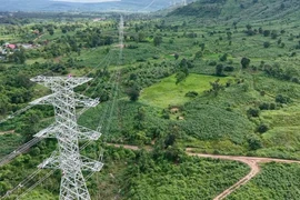 Ngày 9/1/2025, Hợp đồng tô nhượng dự án điện gió Savan 1 được trao thì chỉ 1 ngày sau, công tác xây dựng tuyến đường dây truyền tải từ Nhà máy về Việt Nam đã được tiến hành.