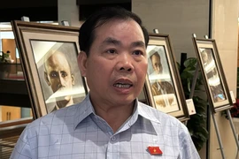 Đại biểu Nguyễn Quang Huân (đoàn Bình Dương) trả lời phỏng vấn. (Ảnh: Hải Ngọc/TTXVN)