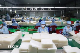 Hoạt động sản xuất tại một doanh nghiệp ở Tây Ninh. (Nguồn: TTXVN)