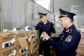 Lực lượng Hải quan Cửa khẩu Quốc tế Hữu Nghị (Lạng Sơn) kiểm tra nhãn mác hàng hóa nhập khẩu tại kho bãi khu vực cửa khẩu. (Ảnh: Quang Duy/TTXVN)