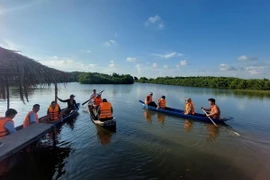Du khách trải nghiệm bơi xuồng dưới tán rừng đước tại các xã biển thuộc Cù lao Bảo, tỉnh Vĩnh Long. (Ảnh: Chương Đài/TTXVN)