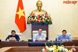 Chủ tịch Quốc hội Trần Thanh Mẫn phát biểu. (Ảnh: Doãn Tấn/TTXVN)