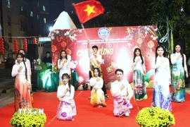 Chương trình văn nghệ đón mừng Xuân Bính Ngọ năm 2026 của sinh viên Việt Nam đang học tập tại Campuchia. (Ảnh: Hoàng Minh/TTXVN)