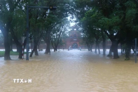 Kinh thành Huế, phường Phú Xuân, bị ngập sâu trong nước lũ. (Ảnh: Nguyên Lý/TTXVN)