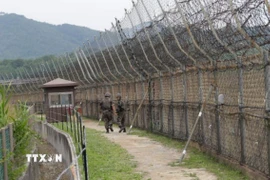 Binh sỹ Hàn Quốc tuần tra tại Khu phi quân sự liên Triều. (Ảnh: AP/TTXVN)