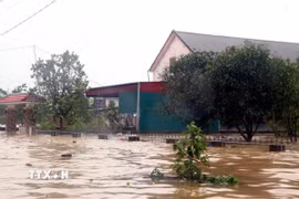 Hàng trăm hộ dân tổ dân phố Sơn Trình, phường Hà Huy Tập, Hà Tĩnh, nước ngập sâu ngày 3/11. (Ảnh: Công Tường/TTXVN)