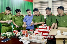 Một đường dây sản xuất, buôn bán thuốc tân dược giả bị triệt phá ở Thanh Hóa. (Nguồn: TTXVN)