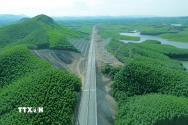 Cao tốc Vạn Ninh-Cam Lộ xuyên qua cánh rừng. (Ảnh: Quốc Khánh/TTXVN)