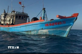 Vùng Cảnh sát 4 phát hiện tàu cá CM 92519 TS vận chuyển trái phép khoảng trên 40.000 lít dầu diesel trên vùng biển Tây Nam. (Ảnh: TTXVN phát)