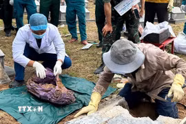Lấy mẫu sinh phẩm của các liệt sỹ. (Ảnh: Tường Quân/TTXVN)