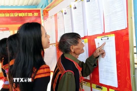 Ảnh minh họa. (Nguồn: Trần Tĩnh/TTXVN)