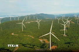 Điện gió góp phần không nhỏ trong việc đảm bảo an ninh năng lượng. (Ảnh: Nguyên Linh/TTXVN)