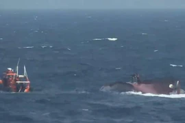 Lực lượng Bảo vệ Bờ biển Hàn Quốc tiến hành hoạt động cứu hộ sau khi một tàu cá bị lật. (Nguồn: Yonhap)