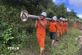 Vận chuyển thiết bị để gia cố cột điện tại các tuyến đường dây đi qua vùng trũng thấp, nền đất yếu. (Ảnh: Đoàn Hữu Trung/TTXVN)