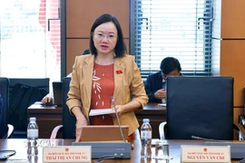 Đại biểu Quốc hội tỉnh Nghệ An Thái Thị An Chung phát biểu. (Ảnh: Doãn Tấn/TTXVN)