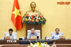 Chủ tịch Quốc hội Trần Thanh Mẫn phát biểu. (Ảnh: Doãn Tấn/TTXVN)