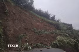 Mưa lớn kéo dài từ ngày 5/7, đặc biệt trong đêm mùng 8 và rạng sáng 9/7 đã gây nhiều điểm sạt lở đất, cây đổ, ách tắc giao thông trên các tuyến Quốc lộ 6 và Quốc lộ 12 qua tỉnh Điện Biên. (Ảnh: TTXVN phát)
