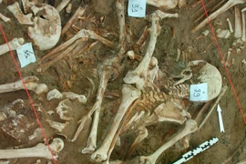 Hài cốt binh lính thuộc quân đội của Napoleon được tìm thấy trong một ngôi mộ tập thể ở vùng ngoại ô phía bắc Vilnius, Litva vào năm 2001. (Nguồn: NPR)