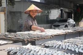 Những ngày này, tại cơ sở nướng cá của bà Hồ Thị Thắng, xóm Yên Đồng, xã Diễn Vạn luôn tất bật, nhộn nhịp bởi các đơn hàng đặt cá nướng làm quà biếu tăng cao. (Ảnh: Bích Huệ/TTXVN)