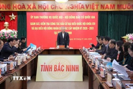 Quang cảnh buổi làm việc. (Ảnh: Danh Lam/TTXVN)