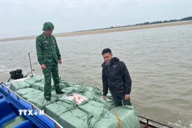 20 bao tải dứa màu xanh, bên trong chứa thịt vịt đông lạnh với tổng trọng lượng khoảng 1,2 tấn. (Ảnh: TTXVN phát)