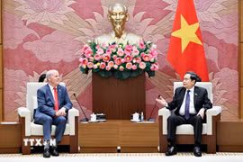 Chủ tịch Quốc hội Trần Thanh Mẫn tiếp Đại sứ Canada tại Việt Nam Jim Nickel. (Ảnh: Doãn Tấn/TTXVN)