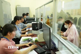 Cán bộ, công chức ở xã Thái Mỹ (Thành phố Hồ Chí Minh) thường xuyên phải tăng ca phục vụ giải quyết hồ sơ hành chính cho người dân. (Ảnh: Hữu Duyên/TTXVN)