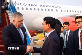 Bộ trưởng, Chủ nhiệm Văn phòng Chính phủ Đặng Xuân Phong đón Thủ tướng nước Cộng hòa Slovakia Robert Fico tại Sân bay quốc tế Nội Bài. (Ảnh: Tuấn Anh/TTXVN)