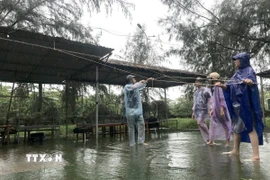 Người dân phường Cửa Lò (Nghệ An) chằng chống hàng quán, ứng phó bão số 10. (Ảnh: Văn Tý/TTXVN)