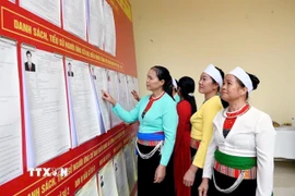 Nghiên cứu danh sách các ứng cử viên. (Ảnh: Tạ Toàn/TTXVN)