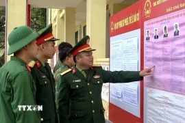 Cán bộ, chiến sỹ Tiểu đoàn phòng thủ đảo Bạch Long Vĩ đang xem tiểu sử tóm tắt những người ứng cử đại biểu Quốc hội khóa XVI. (Ảnh: TTXVN phát)