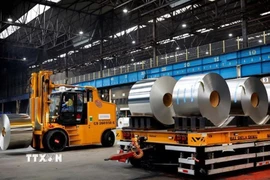 Vận chuyển thép cuộn tại nhà máy thép Tata ở Velsen-Noord, Hà Lan. (Ảnh: Reuters/TTXVN)