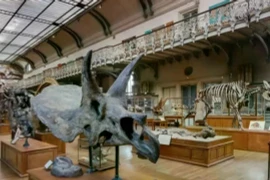 Bảo tàng Lịch sử Tự nhiên Paris. (Nguồn: Zamin)