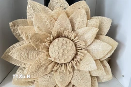 Xơ mướp được Đỗ Đăng Khoa “biến hình” thành những bông hoa thiên nhiên tuyệt đẹp. (Ảnh: Hồng Nhung/TTXVN)