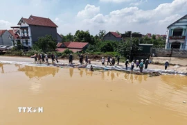 Người dân tập trung gia cố đê do nước sông Cầu dâng cao. (Ảnh: Hoàng Hiếu/TTXVN)