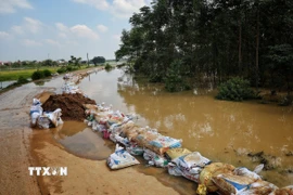 Một đoạn đê thôn Phú Cốc, xã Hợp Thịnh đã được gia cố. (Ảnh: Danh Lam/TTXVN)