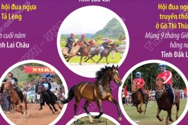 Một số lễ hội và giải đua ngựa truyền thống ở Việt Nam