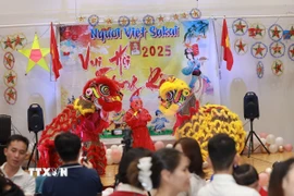 Múa lân, tiết mục truyền thống trong đêm hội Trăng rằm. (Ảnh: Nguyễn Tuyến/TTXVN)